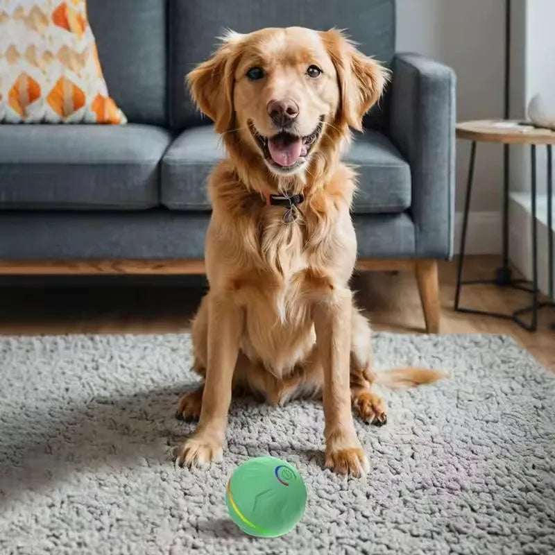 Pelota Saltarina Inteligente para Perros — Juego Activo