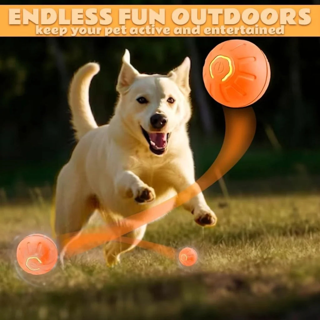 Pelota Inteligente para Mascotas — Diversión Sola en Casa