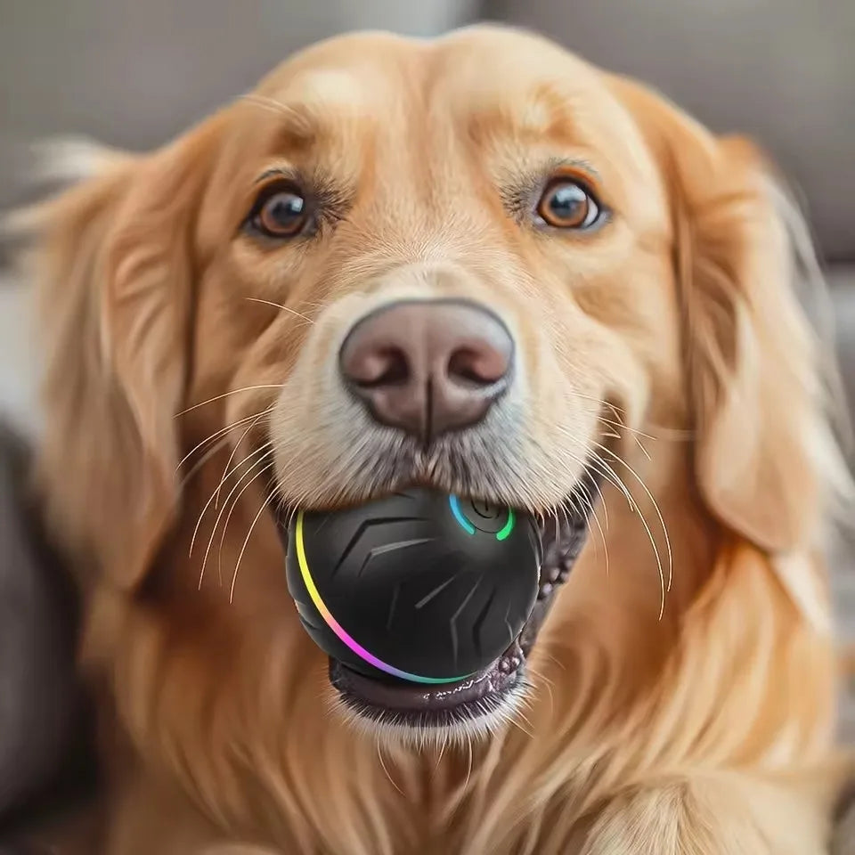 Pelota Saltarina Inteligente para Perros — Juego Activo