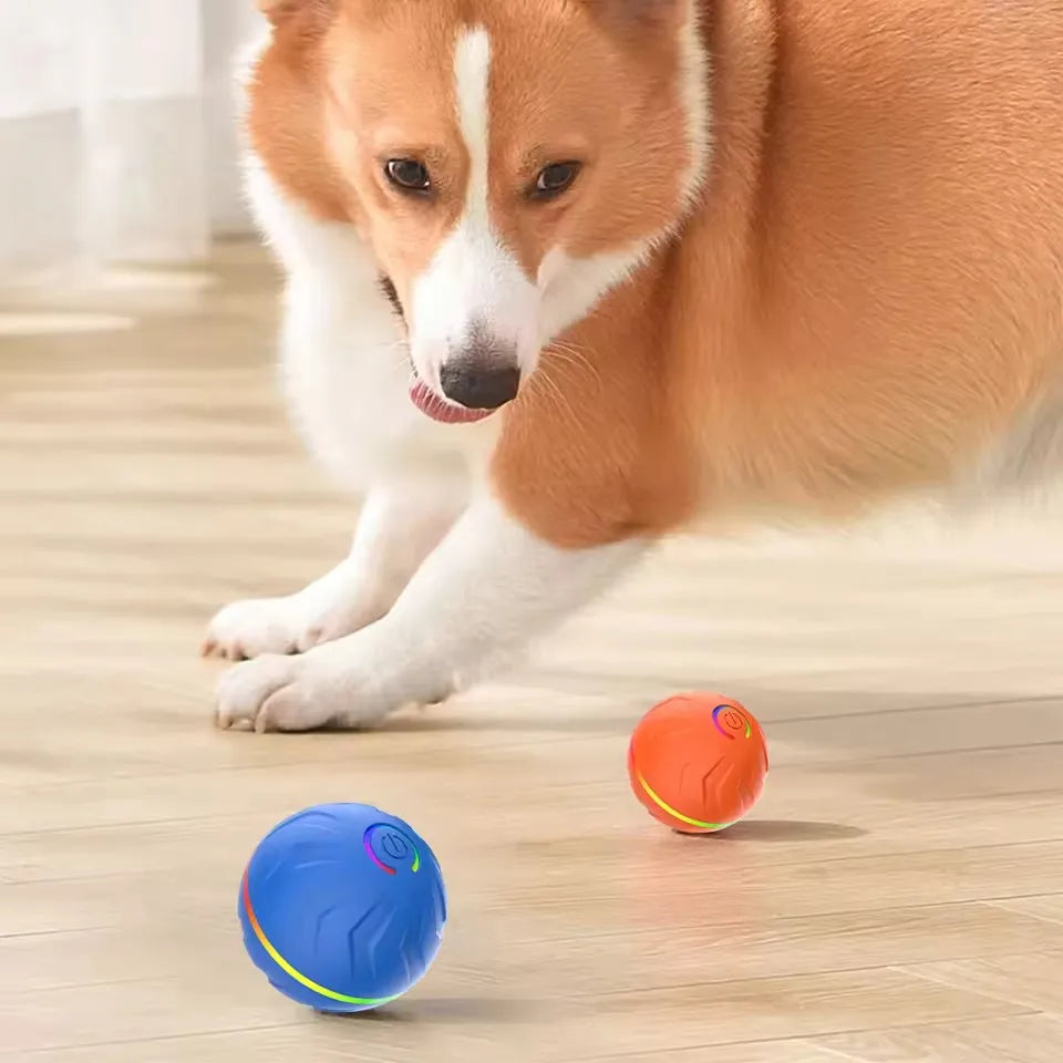 Pelota Saltarina Inteligente para Perros — Juego Activo