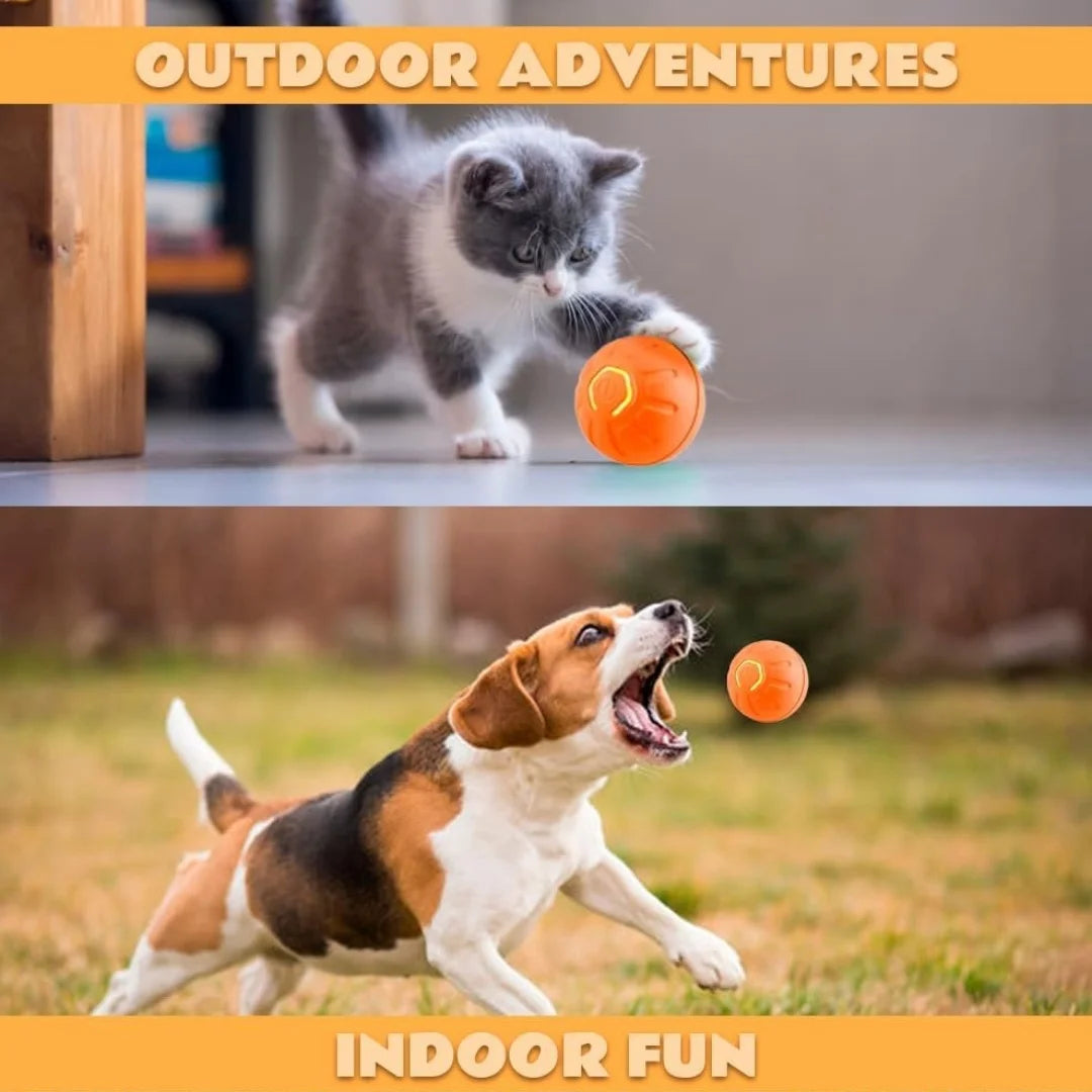 Pelota Inteligente para Mascotas — Diversión Sola en Casa