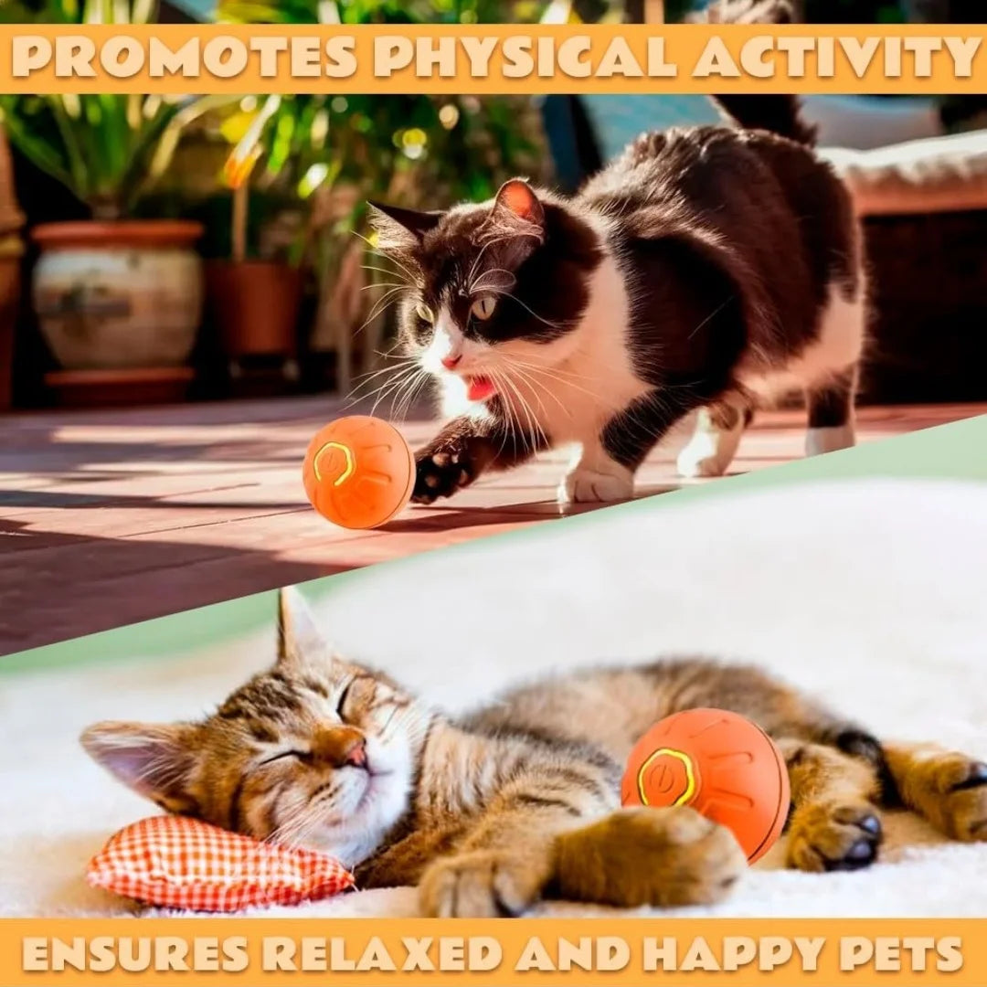Pelota Inteligente para Mascotas — Diversión Sola en Casa
