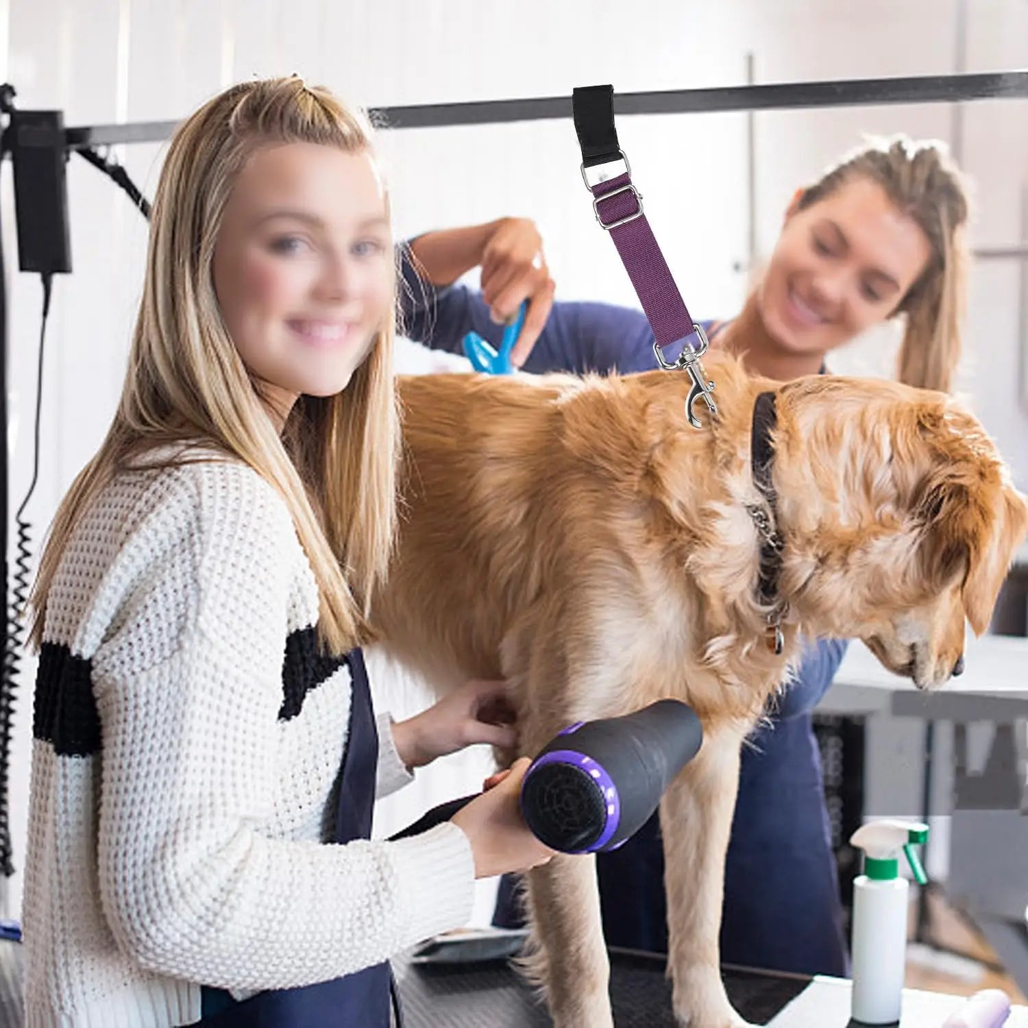 Correas de Sujeción para Bañar a tu Mascota Sin Ayuda
