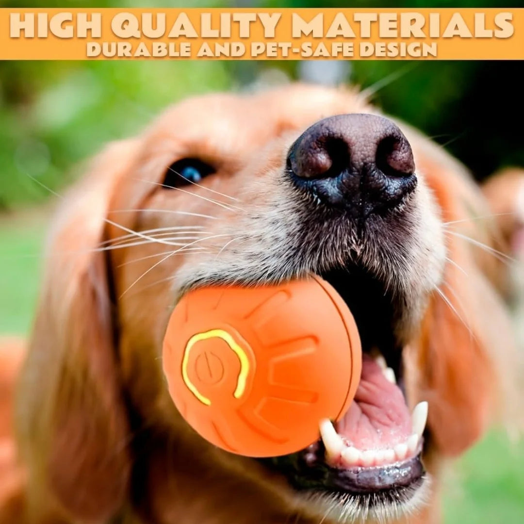 Pelota Inteligente para Mascotas — Diversión Sola en Casa